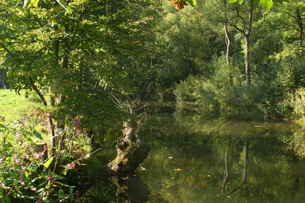 Turisticka Ubytovna Cakle Ústí nad Orlicí المظهر الخارجي الصورة